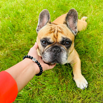 Paws for Meals™ (1 Bracelet = 5 Meals)