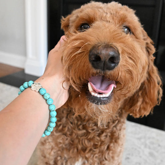 Paws for Meals™ (1 Bracelet = 5 Meals)