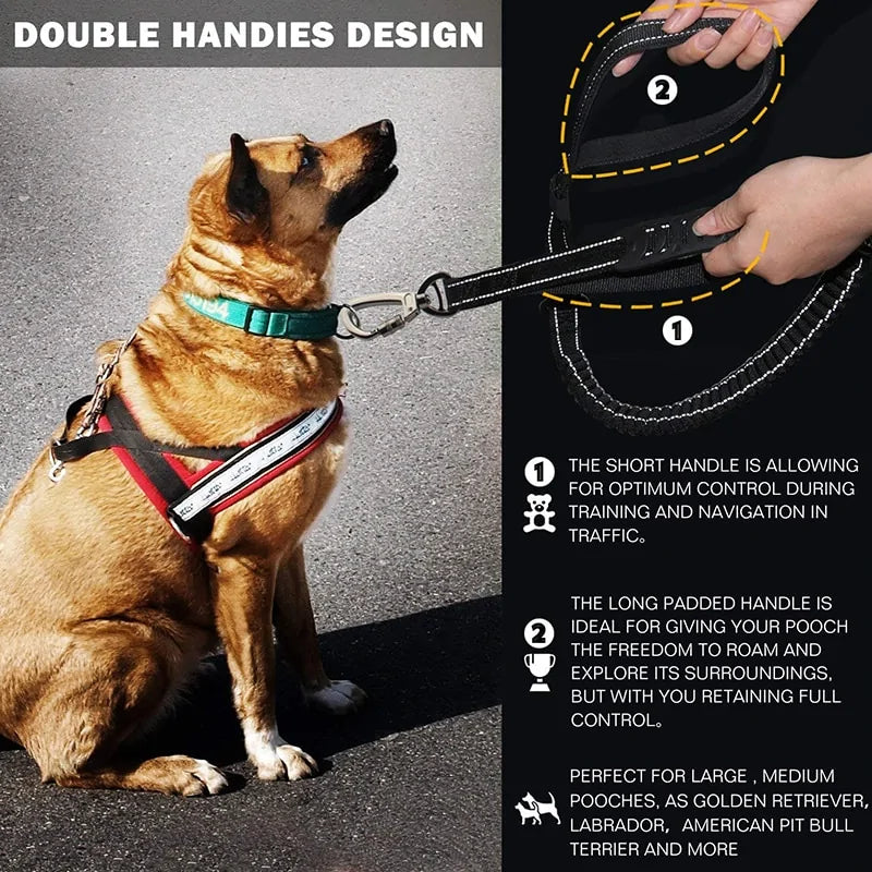 HappyDog - Bungee Leash Safety Belt Buckle